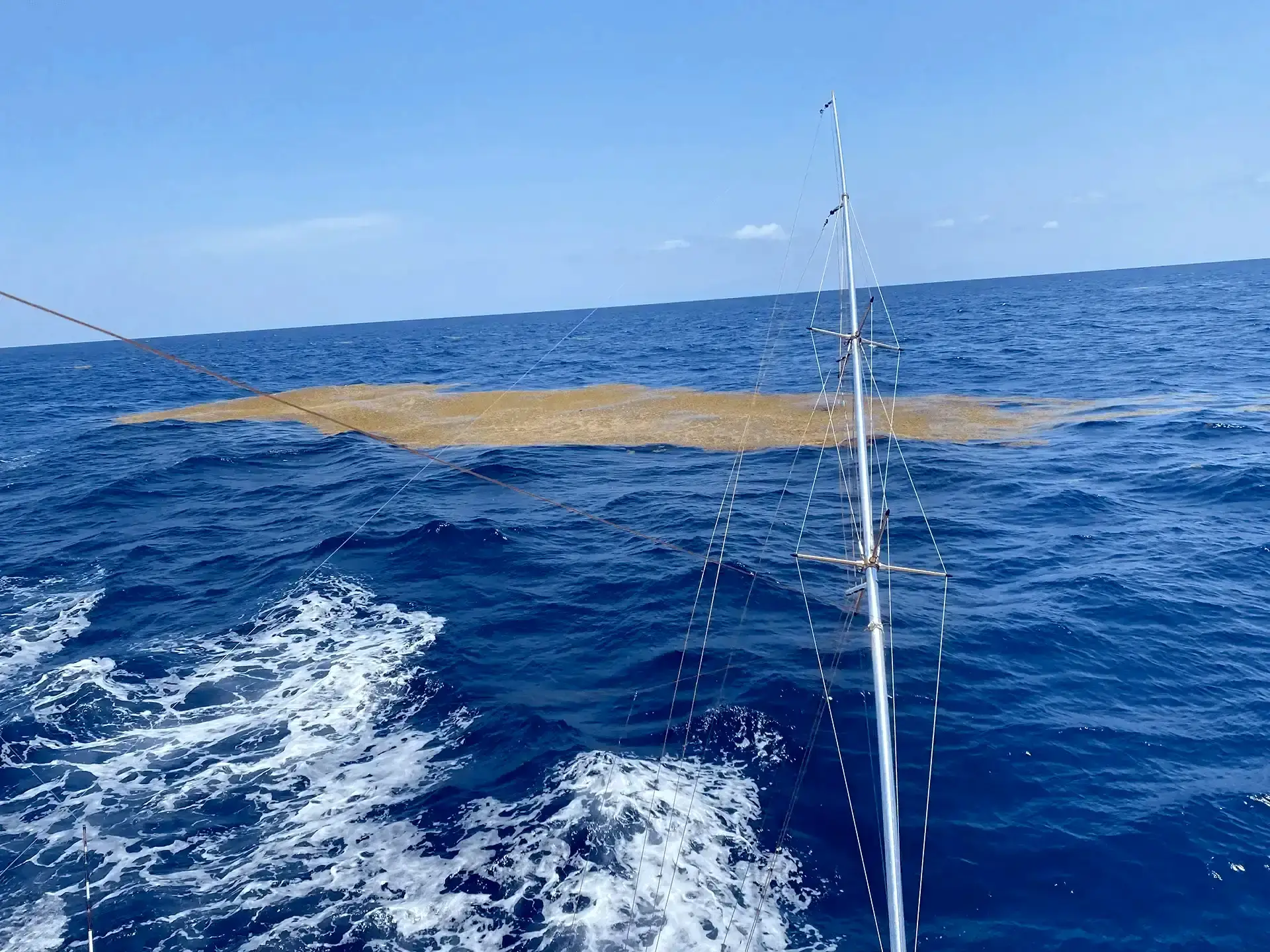Offshore fishing charter aboard Wild Rover III in Carolina Beach NC