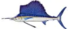 Sailfish — targeted on full day trips