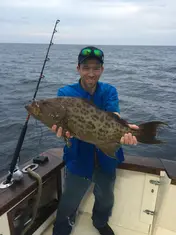 2017 Carolina Beach Fishing Photo - Wild Rover III