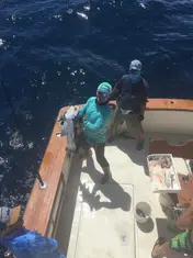 2018 Carolina Beach Fishing Photo - Wild Rover III