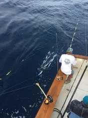 2018 Carolina Beach Fishing Photo - Wild Rover III
