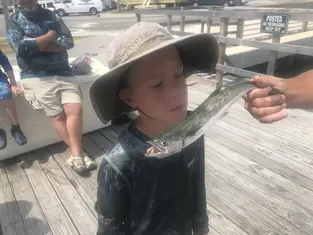 2019 Carolina Beach Fishing Photo - Wild Rover III