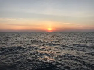 2019 Carolina Beach Fishing Photo - Wild Rover III