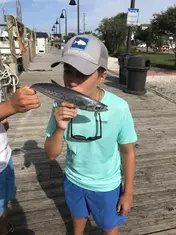 2019 Carolina Beach Fishing Photo - Wild Rover III