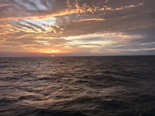 2019 Carolina Beach Fishing Photo - Wild Rover III