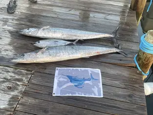 2021 Carolina Beach Fishing Photo - Wild Rover III
