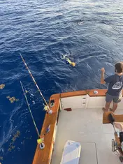 2022 Carolina Beach Fishing Photo - Wild Rover III
