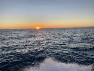 2022 Carolina Beach Fishing Photo - Wild Rover III