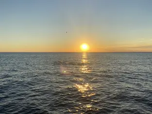 2022 Carolina Beach Fishing Photo - Wild Rover III