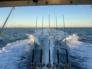 2024 Carolina Beach Fishing Photo - Wild Rover III