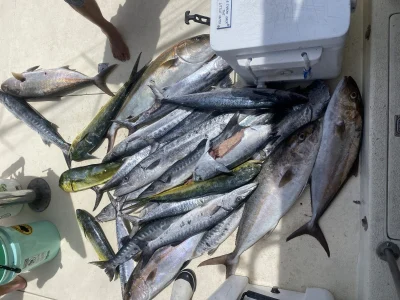 2025 King Mackerel – Full Day Trip – Carolina Beach – Wild Rover III