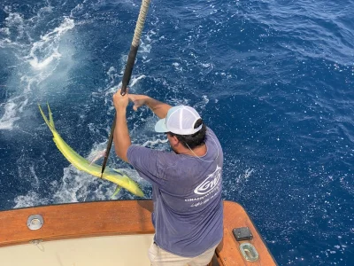2025 Mahi Mahi – Gulfstream Trip – Carolina Beach – Wild Rover III